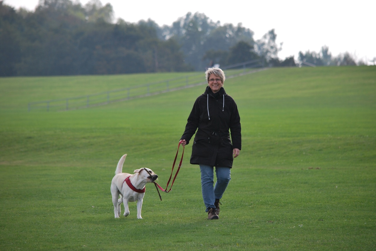 A pet can help seniors go outside, exercise and get some fresh air
