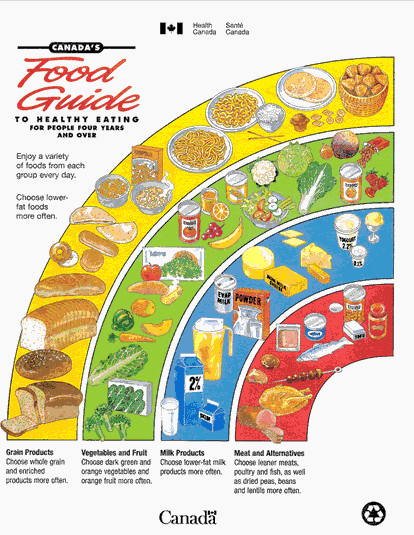 CA outdated food pyramid.jpg